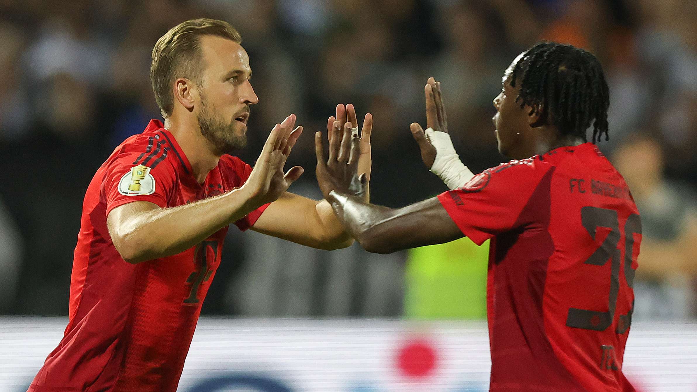 这不仅对提 这不仅对提