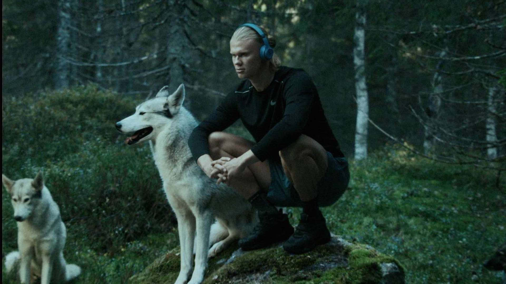 在此背景下 在此背景下