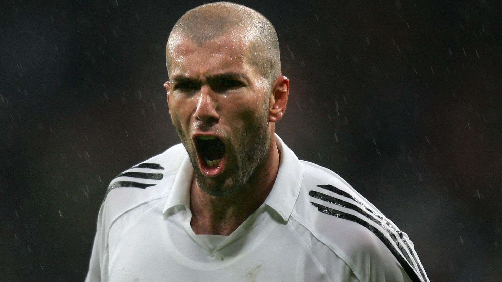 我们将更好 我们将更好